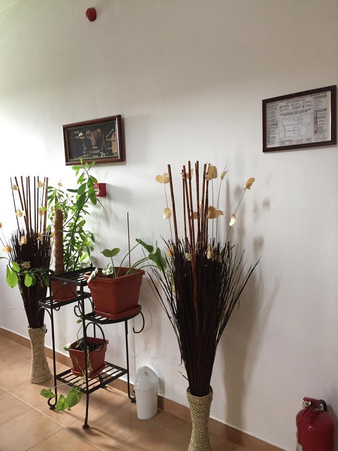 Adrys Boutique בית הארחה 2*